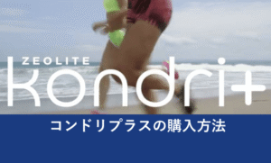 コンドリプラス購入方法